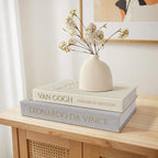 MAOBUYOU Decorative Linen Book Set of 2, Faux Book Storage Box, Coffee Table and Bookshelf Decor
