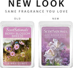 Scentsationals Berry Blossom Breeze Scented Wax Melts - Violet, White Lily, & Sweet Berries, 10oz (24 Cubes)