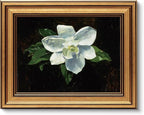 VIYYIEA Gold Framed Vintage Wall Art for Living Room, Flowers Canvas Prints Home Decor, Oil Painting Picture, Bedroom Wall Decor Gifts for Friends or Family -【Magnolia】-(10L x 8W)