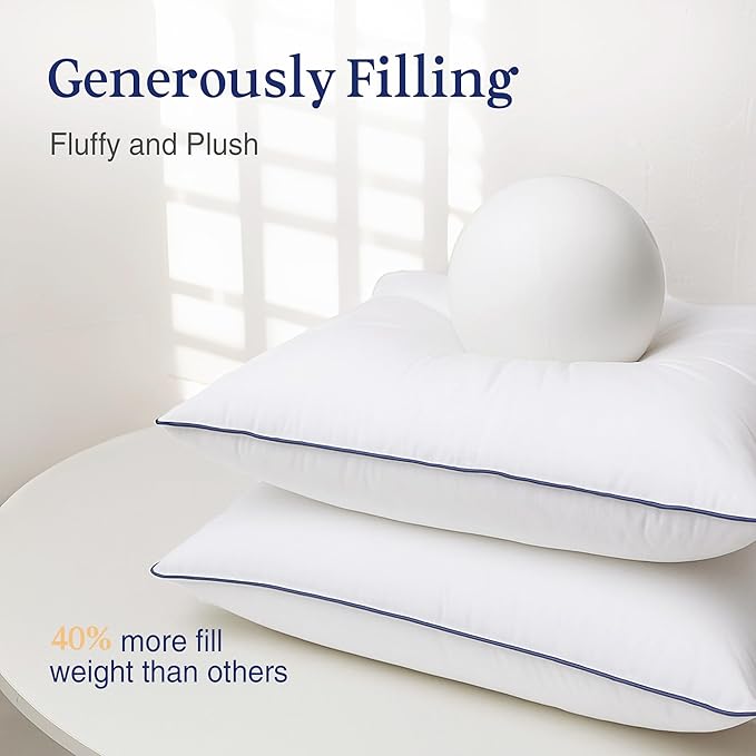 puredown® 24x24 Pillow Inserts Set of 2, Overfilled Down Alternative Euro Pillows with 100% Cotton Cover, Plush Fluffy Decorative Throw Pillows for Couch, Sofa, Bed and Home Decor