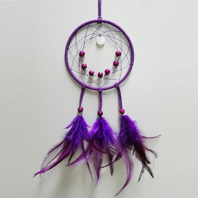 DIY Dream Catcher Beginner Kit, Making Dream Catcher Supplies Include Metal Hoop, Feathers, Faux Suede Cord, Thread, Wood Beads (Violet)
