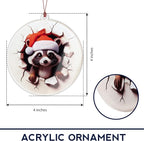 Racoon Christmas Ornaments 2025, Raccoon Funny Ornament with 2D Effect, Racoon Gifts for Women Men, Hanging Christmas Tree Decorations for Family Friends, Holiday Ornament for Raccoon Lovers