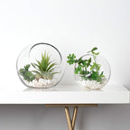 WGV Slant Cut Bowl Glass Vase, Width 9", Height 9", Clear Round Globe Planter Terrarium Orb, Candy Dish, Fruit Jar, Floral Container for Home Office Decor, 1 Piece