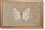 VIYYIEA Vintage Gold Framed Wall Art for Living Room, White Butterfly Canvas Prints Home Decor, Oil Painting Picture, Bedroom Wall Decor Gifts for Friends or Family -【Morpho polyphemus】-(24L x 16W)