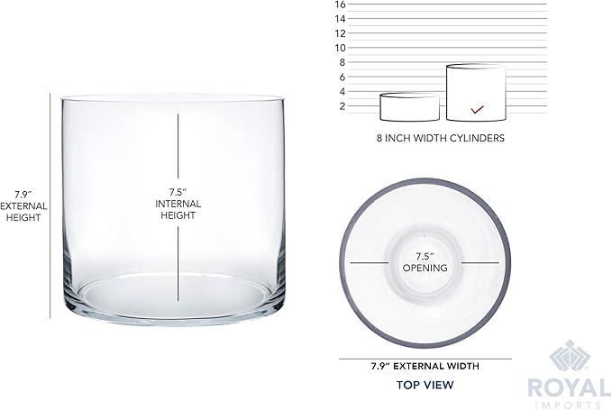 Royal Imports Flower Glass Vase Decorative Centerpiece for Home or Wedding - Cylinder Shape (8" Wide x 8" Tall, Clear)