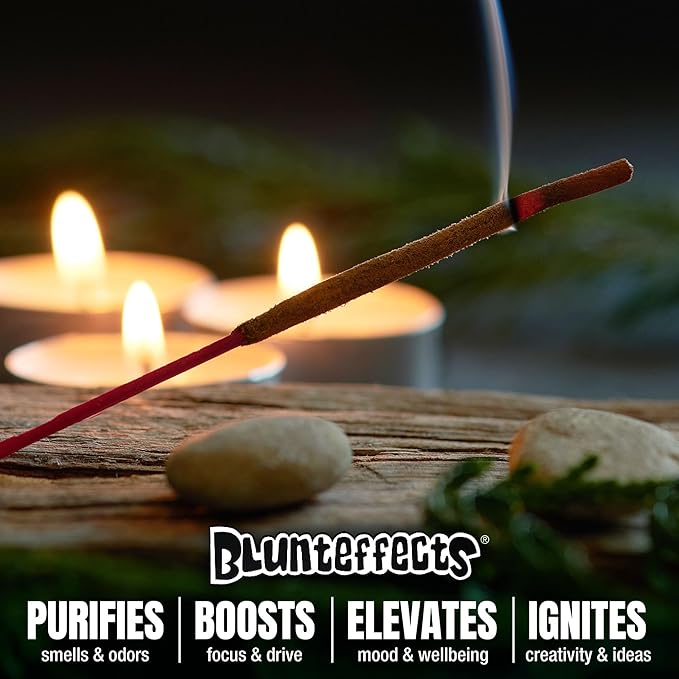 Blunteffects Hand-Dipped Incense Sticks - Premium 288-Pack Variety Set, 12 Different Scents, 11" Long, USA-Made Aromatherapy with Long Burn Time (12 Pack, 144 Total Sticks)
