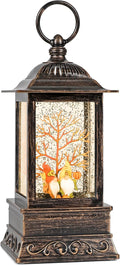 Fall Snow Globe Decorations, Glitter Gnome Lantern with 6H Timer, USB/Battery Powered Lighted Décor for Home, Tabletop, Gift Box