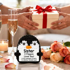 Belatelove Sisters Gifts from Sister, Funny Handmade Crochet Mini Penguin Gifts for Sister from Sisters, I Love You Long Distance Gift for Women, Cute Small Easter Decor