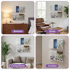 2 Packs Acrylic Magazine Holder Wall Mount Acrylic Display Vinyl Records Holder, Clear Bookshelves Wall Decor Hanging Magazine Holders for Waiting Room, Living Room