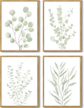 Drsoum Botanical Plant Framed Wall Art Boho Wall Decor for Bathroom Sage Green Eucalyptus Leaf Prints Minimalist Aesthetic Ready to Hang Set of 4, 11x14 in (Natural Framed)