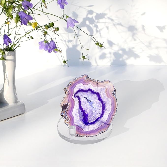 Hipiwe Clear Acrylic Display Stand - Three-Peg Display Easel Stands for Fossil Coral Geodes Rock Mineral Agate,Large Crystal Display Stand with Round Base, Set of 4