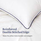puredown® 22x22 Pillow Inserts Set of 2, Overfilled Down Alternative Decorative Pillows with 100% Cotton Cover, Plush Fluffy Throw Pillows for Couch, Sofa, Bed and Home Decor
