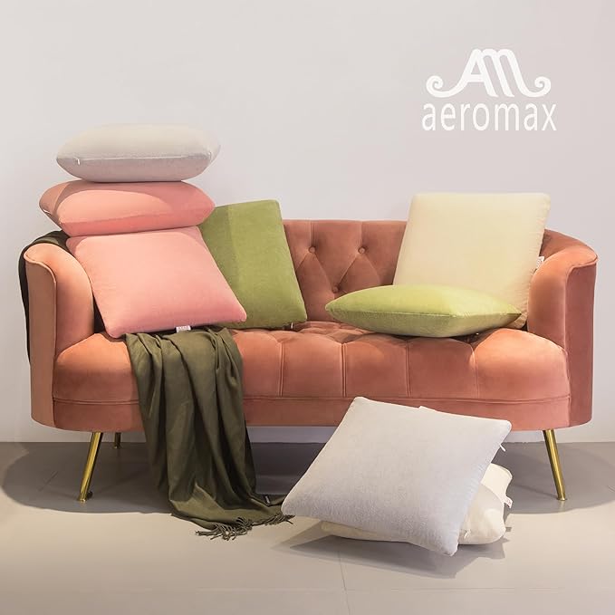 AM AEROMAX 22 ×22 Throw Pillow Memory Foam Pillow Insert - Square Accent Pillow for Decorative Cushion Bed Couch Sofa - Non-Deforming Over Time