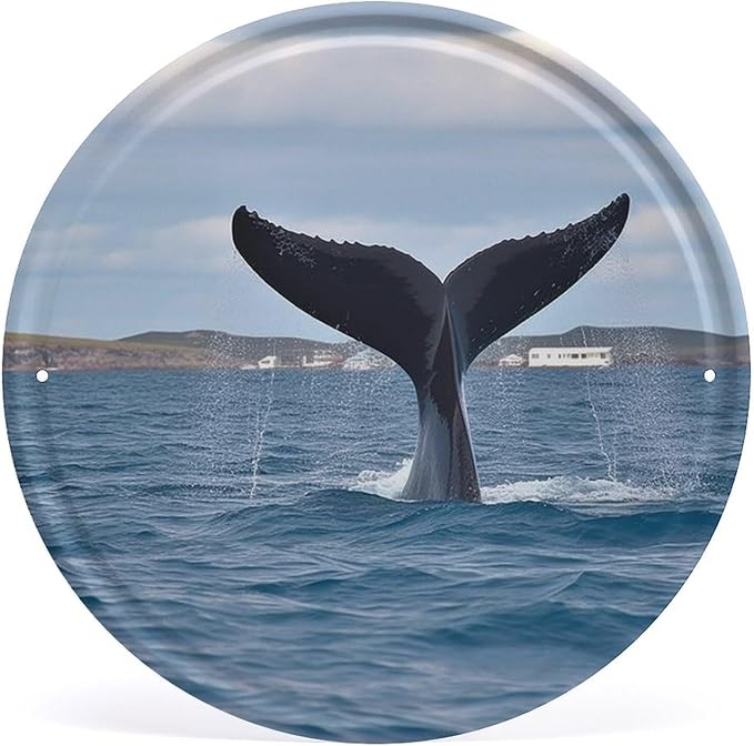 Wall Picture, with Whale Tail Printed Circular Iron Hanging Picture,Wall Art Decor,Home for Bedroom Living Room Bathroom Decor,Iron Painting 11.8X11.8 in