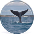 Wall Picture, with Whale Tail Printed Circular Iron Hanging Picture,Wall Art Decor,Home for Bedroom Living Room Bathroom Decor,Iron Painting 11.8X11.8 in
