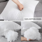 Oubonun 20 x 20 Throw Pillow Inserts, Firm and Fluffy Decorative Square Pillows for Couch Bed Sofa with Soft Cotton Cover White Cushion with Down Alternative Pack of 2