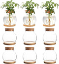 Plant Propagation Station,Hydroponic Glass Container Vase Jars, with Wooden Saucer for Desks, Houses, Garden Decorations, Home Kitchen Decorations and Gifts for Plant Lovers (9)