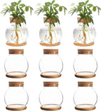 Plant Propagation Station,Hydroponic Glass Container Vase Jars, with Wooden Saucer for Desks, Houses, Garden Decorations, Home Kitchen Decorations and Gifts for Plant Lovers (9)
