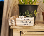 3 Pieces Wooden Decorative White Books, Rustic Farmhouse Faux Books for Coffee Table Shelves with Wood Bead Tassels and Leaves, 7'x 4.6'x 2.5' (Grateful, Thankful, Blessed)