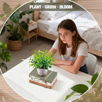 Wesiti 4 Pcs Spring Table Centerpieces with Fake Eucalyptus Pot Plant Home Sweet Home Decoration Farmhouse Tiered Tray Tabletop Decor Wooden Stack Book Block Sign for Desk Shelf Housewarming Gift