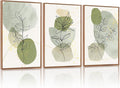 KAlRNE Boho Botanical Framed Canvas Wall Art Set of 3(24”X36”),Abstract Sage Green Wall Decor,Minimalist Watercolor Picture,Modern Geometric Black Line Art Prints For Living Room Bedroom Office
