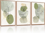 KAlRNE Boho Botanical Framed Canvas Wall Art Set of 3(24”X36”),Abstract Sage Green Wall Decor,Minimalist Watercolor Picture,Modern Geometric Black Line Art Prints For Living Room Bedroom Office
