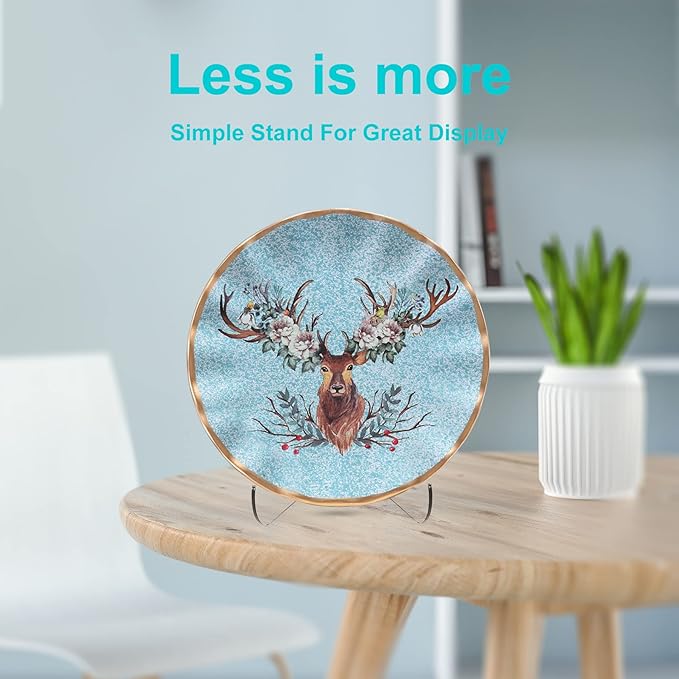 Boloyo 60-Degree Angle Acrylic Plate Display Stand , 4.5 Inch 5PC Clear Acrylic Display Holder Easel Base for Home Office Kitchen School Art Display