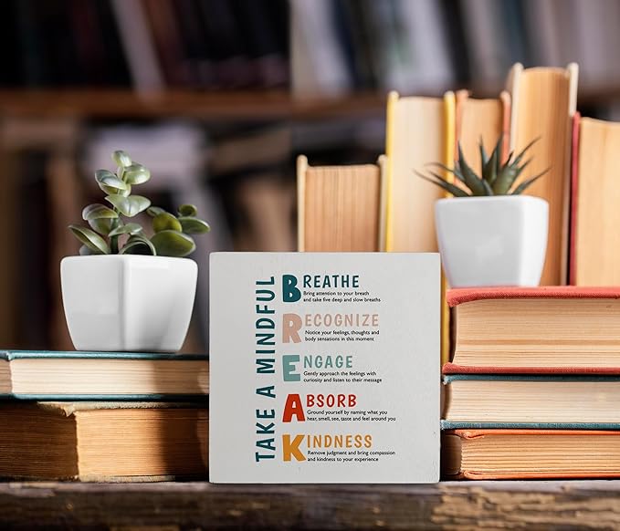 kunlisa Mental Health Take a Mindful Break Stress Management Wooden Box Sign Desk Decor,Rustic Wood Block Plaque Box Sign for Therapy Office School Counseling Office Wall Shelf Tabletop Decoration