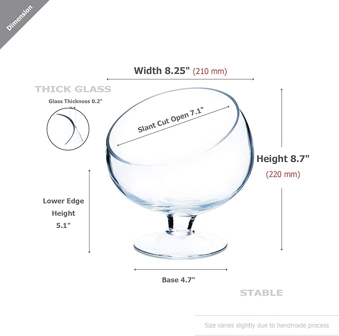WGV Slant Cut Bowl Glass Vase with Stand, Width 8.25", Height 8.75", Clear Planter Terrarium, Candy Dish, Fruit Jar for Wedding Party Event, Home Office Decor, 1 Piece