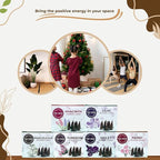 TRUMIRI Blossom Incense Cones - Variety Pack - Total 60 Cone Incense (6 Scents x 10 Conos) - Peony, Lilac, Violet, Honeysuckle, Hyacinth, Tuberose - Cone Incense Scents - Insense Cones - Incent Cone