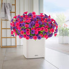 12 Bundles Morning Glory Artificial Flowers for Outdoor Decoration UV Resistant Fake Plastic Plants Artificial Greenery for Indoor Outdoor Garden Patio Window Box Home Decor