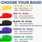 LEZER Resistance Bands - Pull Up Bands for Home Gym Fitness, Stretching, Physical Therapy & Training - Includes Instruction