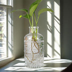 Propagation Vases for Plants, Bud Vases, Small Glass Vase for Flowers, Home Decor, Table Decor, Shelf Decor, Desk Decor, Office Decor