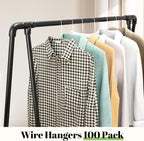 Wire Metal Clothes Hangers Bulk 100 Pack, 16 Inch 12 Gauge Standard Size, Slim Space Saving for Coat Suits Shirts Pants Skirts, Non Slip, White