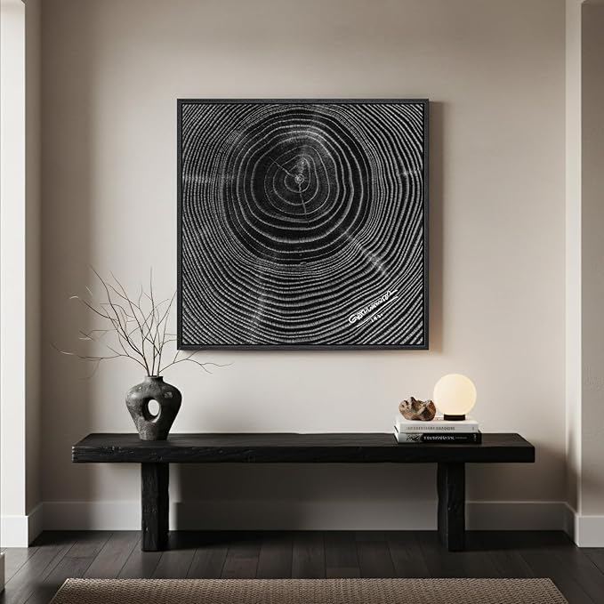 Framed Square Black Tree Ring Abstract Wall Art, Modern Nature Canvas Prints, Contemporary Black Minimalist Tree Lines Pictures for Living Room Bedroom Dining Room Hallway Office Wall Decor 24x24 In