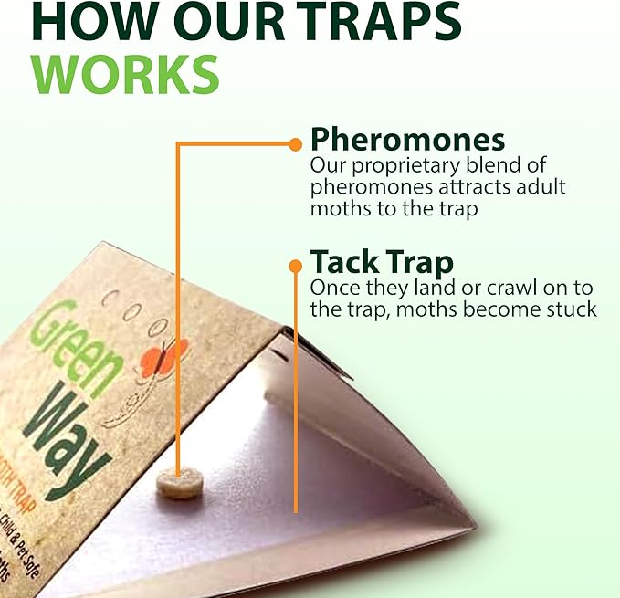 Greenway Clothing Moth Traps with Powerful Pheromone Lures for Effective, Odor-Free Closet Protection, Non-Toxic, Eco-Friendly & Long-Lasting Solution, 6 Packs (Includes 12 Traps & 12 Lures)