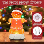 Gingerbread Christmas Snow Globe Lantern with 8 Music Songs & 6H Timer Water Snow Globe Lantern USB & Battery Operated for Christmas Festival Decorations Gifts (Pink Gingerbread)