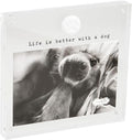 Mud Pie 4X6 Acrylic Dog Paw Frame; 6 1/2" X 7"