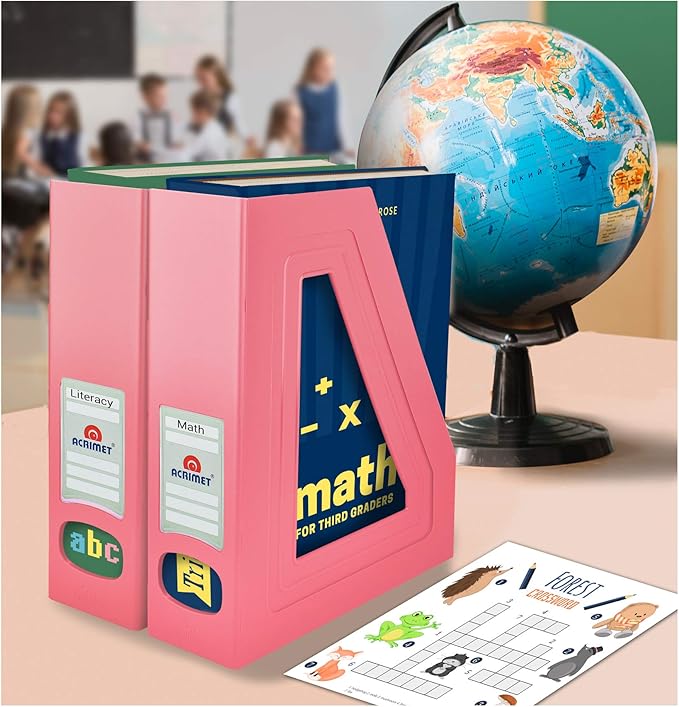 Acrimet Magazine File Holder Bin Storage, Vertical Rack for Documents, Folders and Mail, Durable Plastic Desk Organizer for Office & Home (Solid Pink Color) (2 Pack)