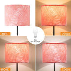 Ambimall 60'' Modern Floor Lamp with Shade, Tall Lamps for Living Room, Bedroom, Office, Dining Room, Hand-Dyed Pink Lampshade(Without Bulb)