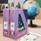Acrimet Magazine File Holder Bin Storage, Vertical Rack for Documents, Folders and Mail, Durable Plastic Desk Organizer for Office & Home (Clear Pink Color) (2 Pack)