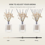 Airkeep Reed Diffuser Set, 3.38 fl oz (100 ml) - Sage Lemon Oil Diffusers with 8 Reed Sticks, Home Fragrance Reed Diffuser for Bathroom Shelf Decor