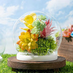 Tuanse 4 Pieces Glass Dome Display Showcase Glass Globe and Display Dome with Wood Base DIY Craft Keepsake Globe Case Gifts for Women Wedding Tabletop Centerpiece Decoration(White)