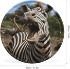 Wall Picture, with Funny Zebra Printed Circular Iron Hanging Picture,Wall Art Decor,Home for Bedroom Living Room Bathroom Decor,Iron Painting 11.8X11.8 in
