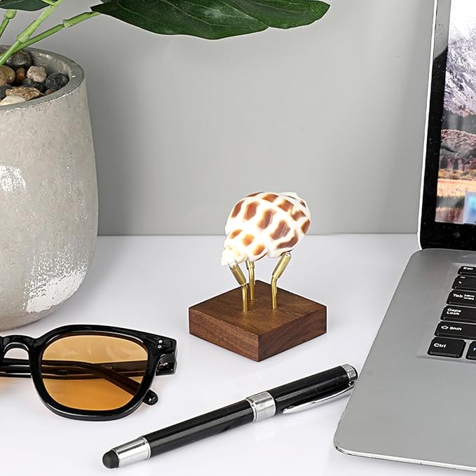 Hipiwe Metal Arm Display Stand Easel with Wooden Base Decorative Display for Sphere Crystal Ball Mineral Geodes Rock Agate Small Collectibles, Medium