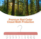 TOPIA HANGER Cedar 2 in 1 Belt Tie Hanger for Closet Max 30 Belts with 30 Ties Capacity, 20 Hooks Belt Tie Racks Hanger for Closet Organizer Storage “U” Fit Belt and “一” Fit Tie - CT53C