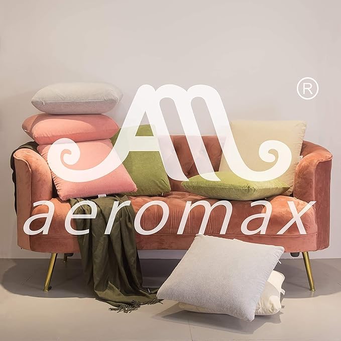 AM AEROMAX 18 × 18 Throw Pillow Memory Foam Pillow Insert - Square Accent Pillow for Decorative Cushion Bed Couch Sofa - Non-Deforming Over Time