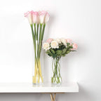 WGVI Quality Thick Weighted Clear Cylinder Glass Vases, 3" W x 12" H, Skinny Bud Vase Narrow Floral Bouquet Flower Arrangements Storage Container Candle Holders Decorative Accents, 6 Pieces