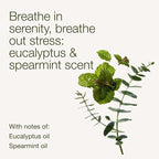Bath & Body Works Wallflowers Refills, Eucalyptus Spearmint Scent, Plug-In Air Freshener Refills for Bedrooms, Bathrooms & Living Spaces, 2 Pack