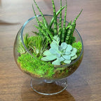 WGV Slant Cut Bowl Glass Vase with Stand, Width 8.25", Height 8.75", Clear Planter Terrarium, Candy Dish, Fruit Jar for Wedding Party Event, Home Office Decor, 1 Piece